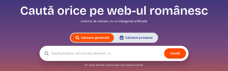 HeiLocal, motorul nostru de căutare cu AI pentru web-ul românesc