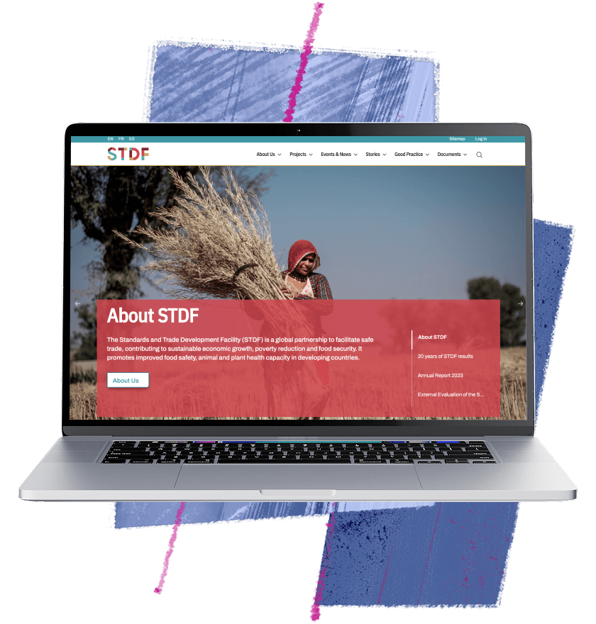 Intranet solution for software development teams